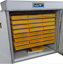 INDUSTRIAL INCUBATOR