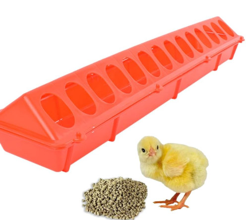 chicken Scratching Feeder Tube