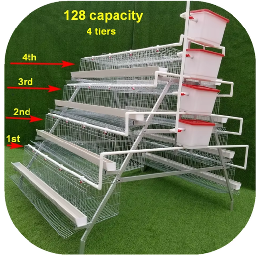 Layer cage 48 96 128 160 chickens