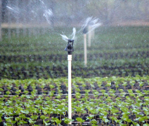 Wobbler sprinkler