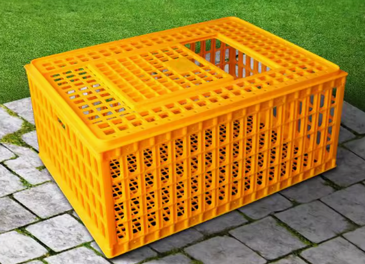 Transportation cage