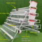 Layer cage 48 96 128 160 chickens