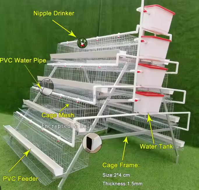 Layer cage 48 96 128 160 chickens