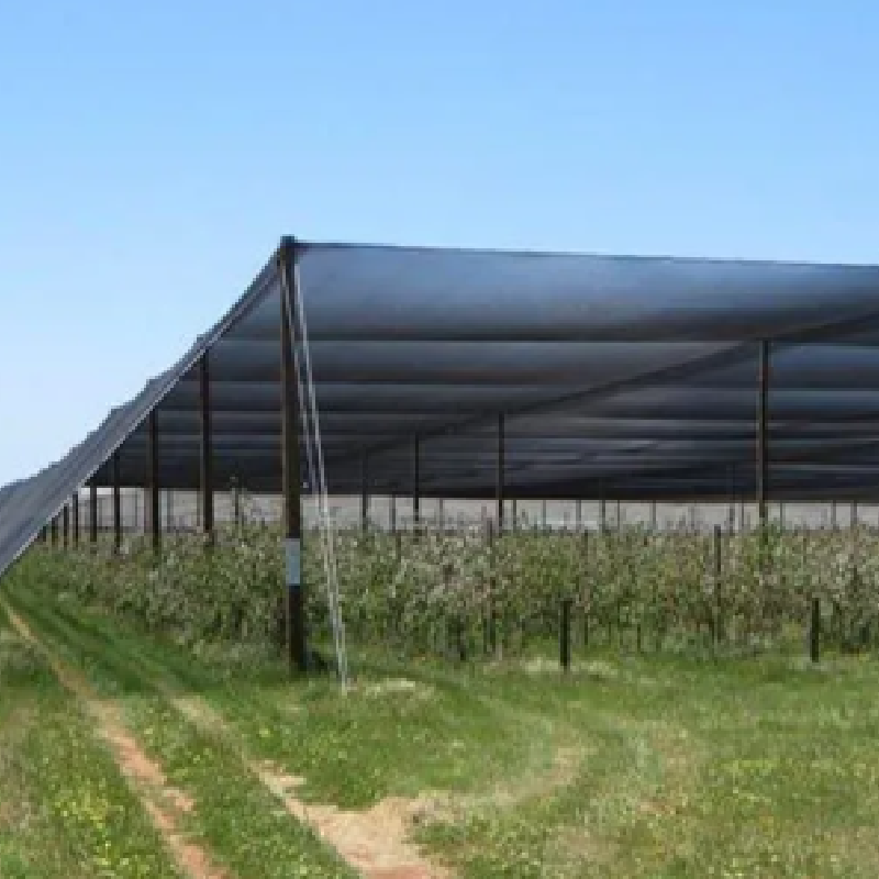 ECOSUN 40% SHADENET (AGRICULTURE)