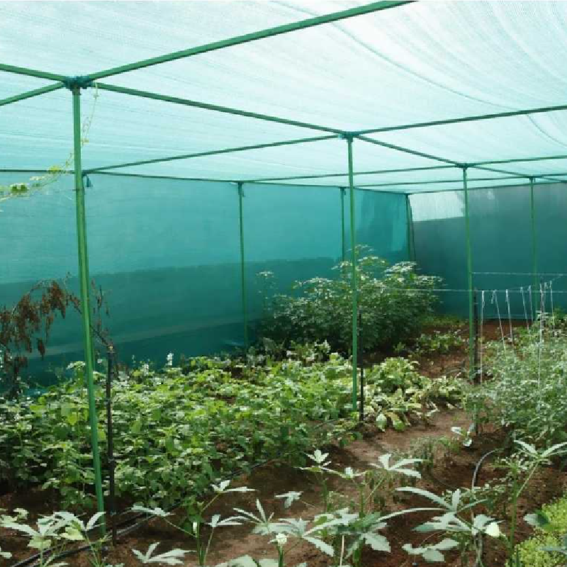ECOSUN 50% SHADENET (AGRICULTURE)