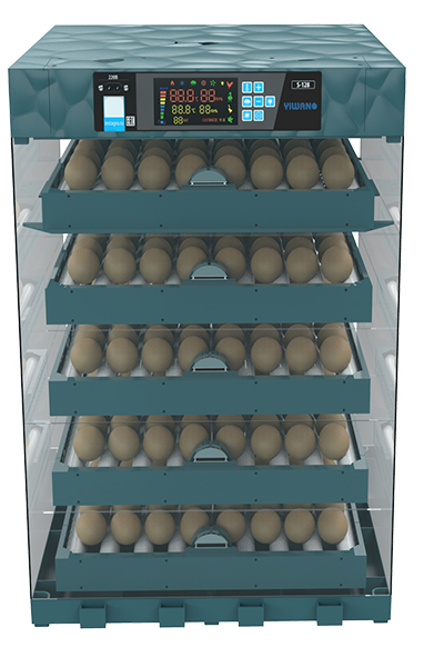 Plastic incubator