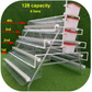 Layer cage 48 96 128 160 chickens