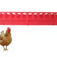 chicken Scratching Feeder  Tube