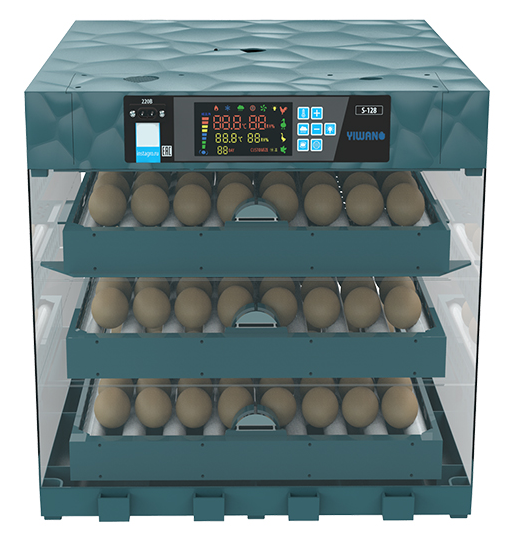 Plastic incubator