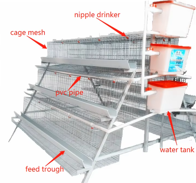 Layer cage 48 96 128 160 chickens