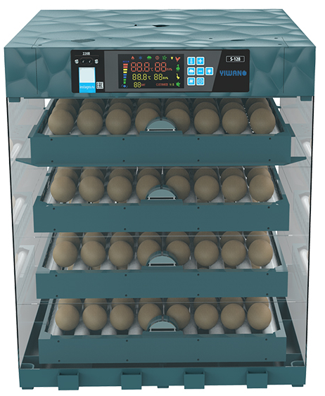 Plastic incubator